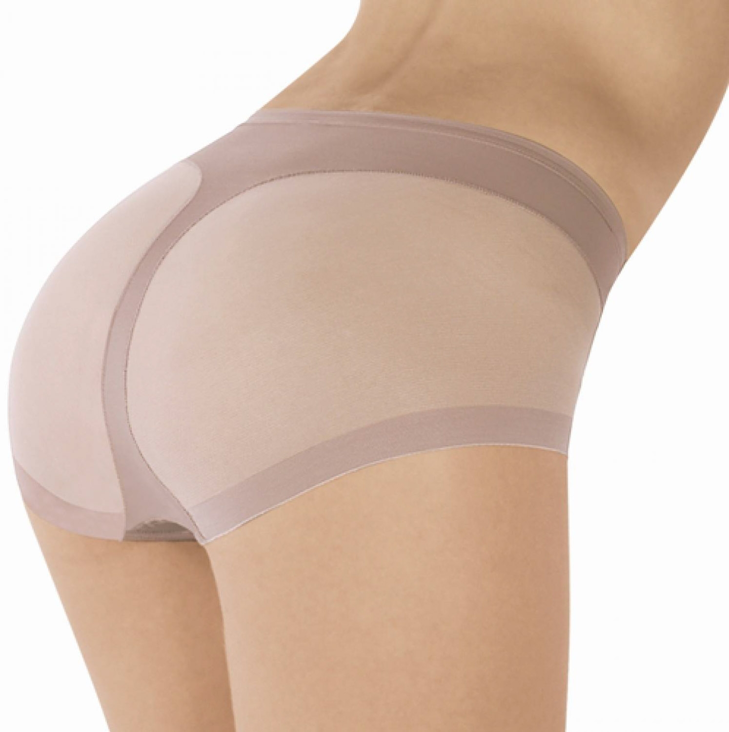 Janira Culotte-Silueta Secrets Color Bruma T.M Ref.1031121 - la Media de  Seda