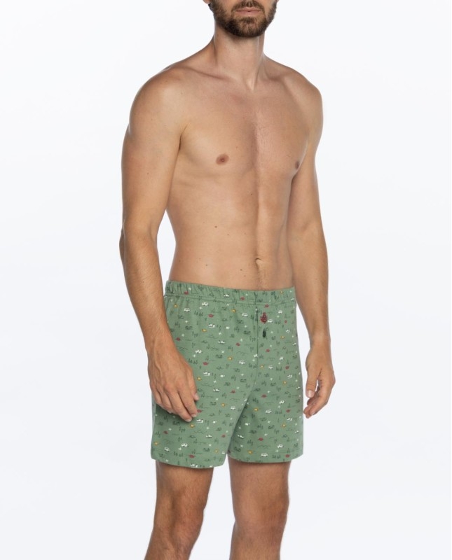 GUASCH  BOXER  SUELTOS  ALGODON  VERDE  BG161 D 755  T.XL